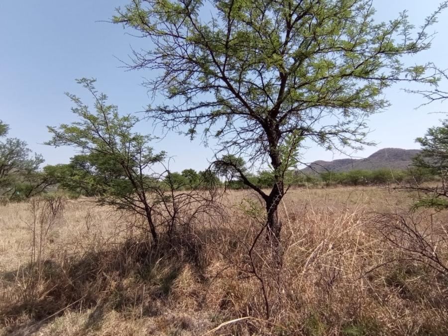 3 Bedroom Property for Sale in Parys Free State